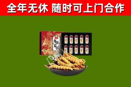 雨山回收冬虫夏草价格